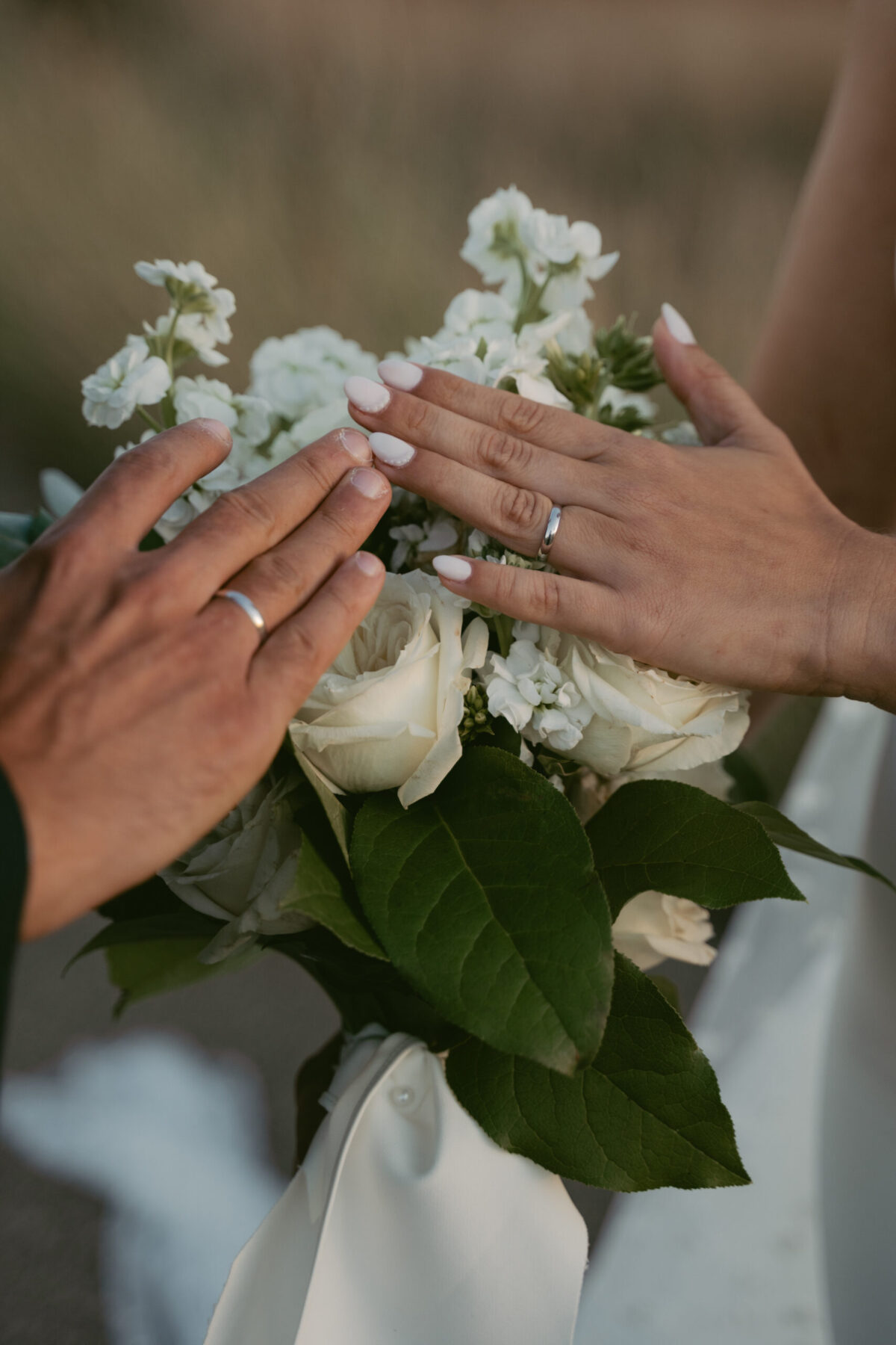 Rings from the groom and bride